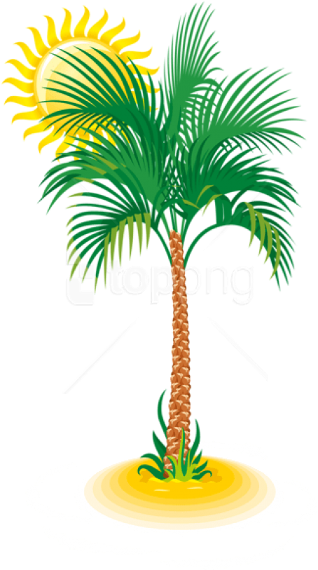 Free Png Download Palm And Sun Clipart Png Photo Png - Sun Palm Tree Cartoon Transparent Png (454x813), Png Download