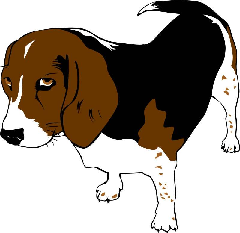 Animal Clipart - Dog Clip Art - Png Download (800x778), Png Download