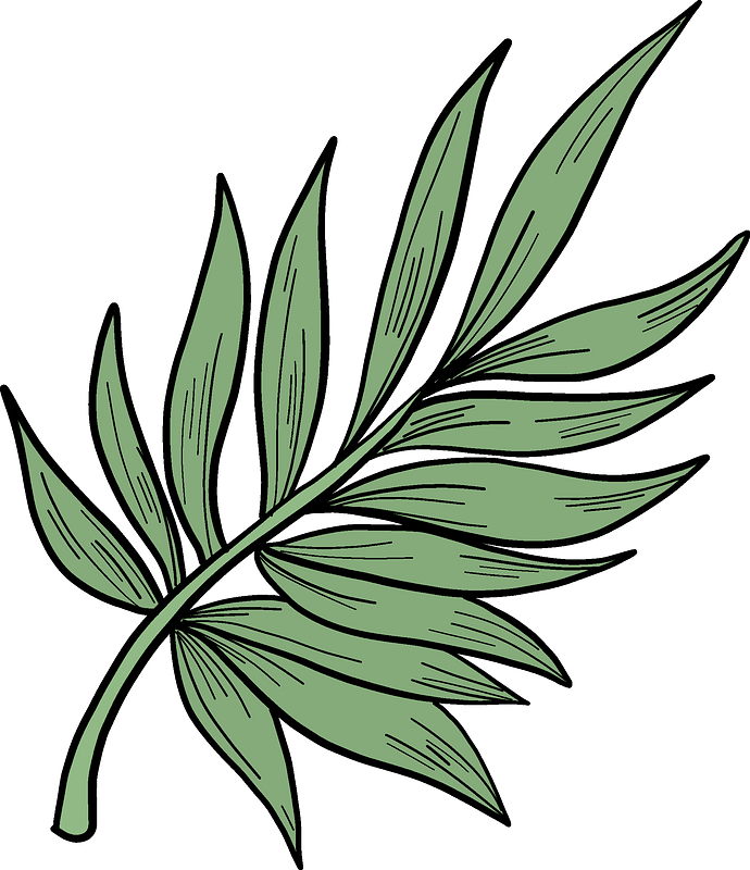 Palm Leaf Clipart - Png Download (690x800), Png Download