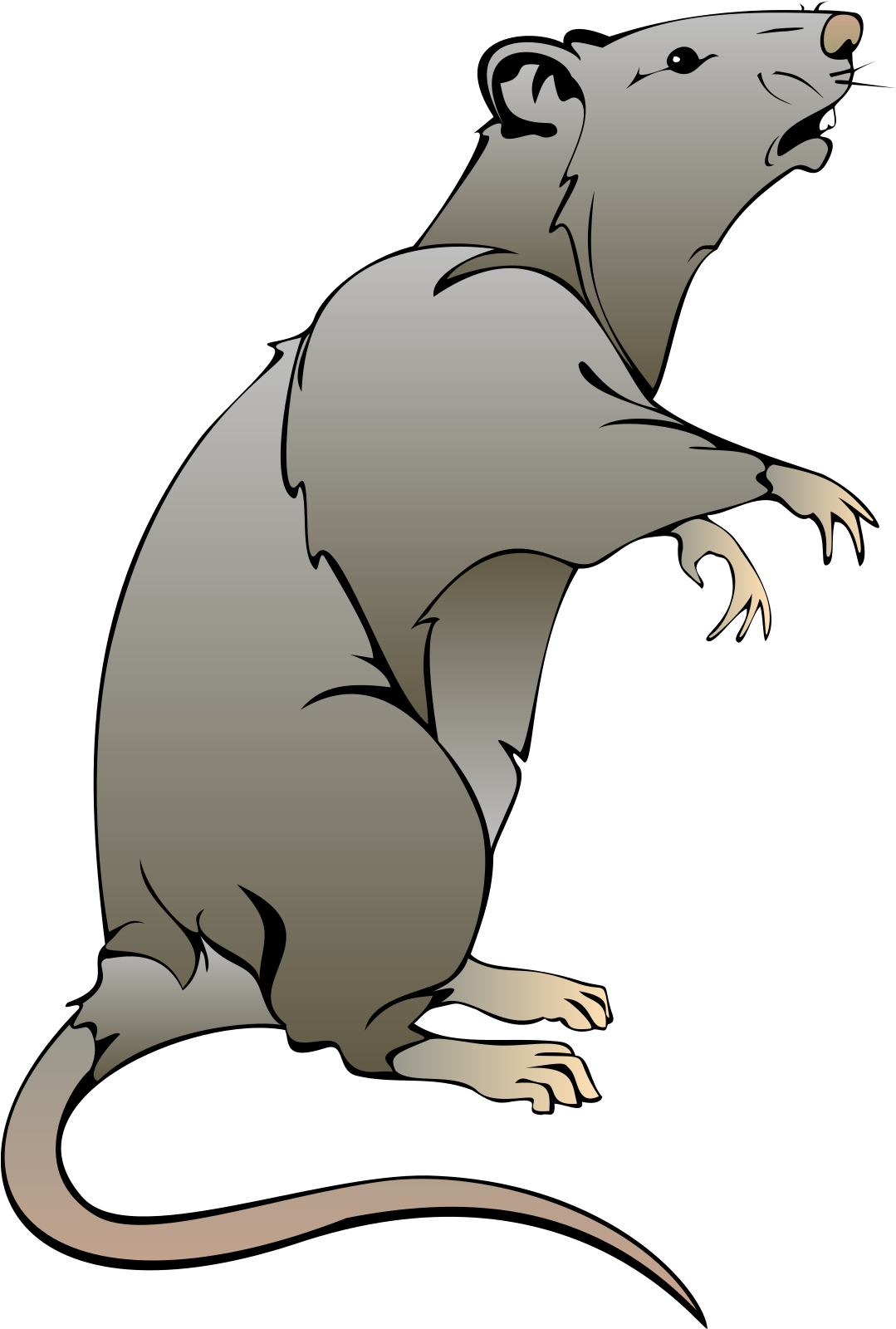 Rat Clipart - Png Download - Full Size Clipart (#5489231) - PinClipart