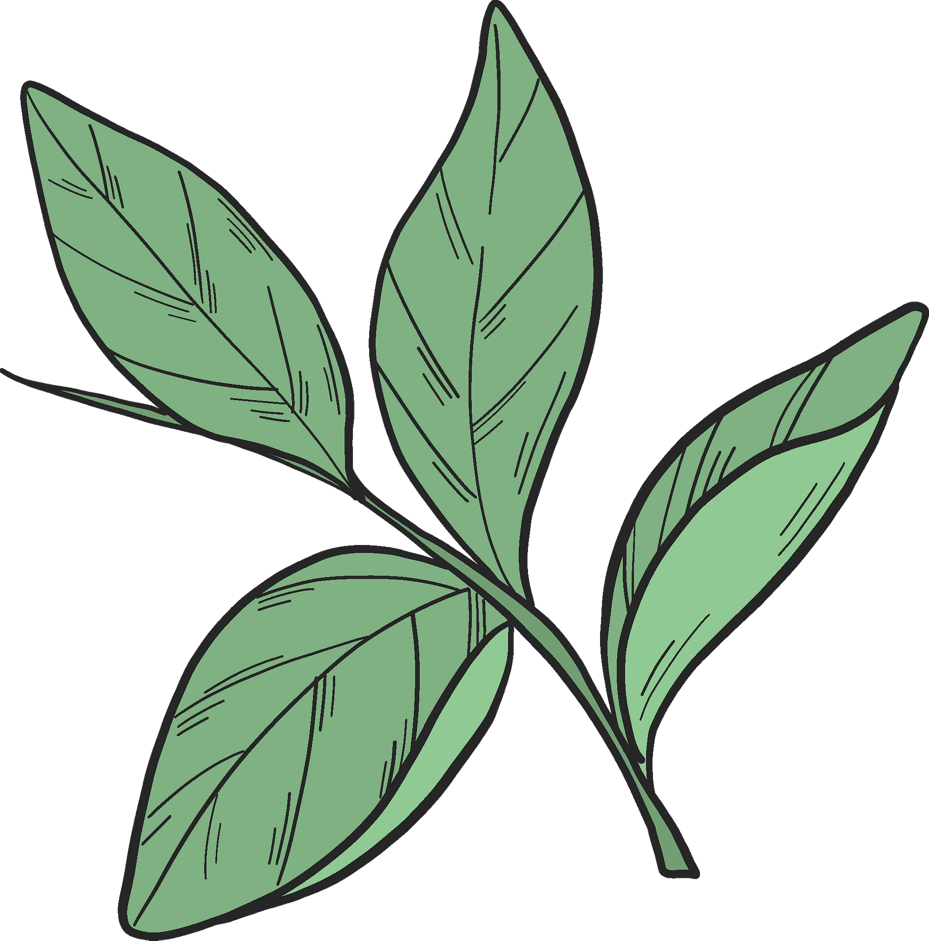 Clip Art - Png Download (1895x1920), Png Download