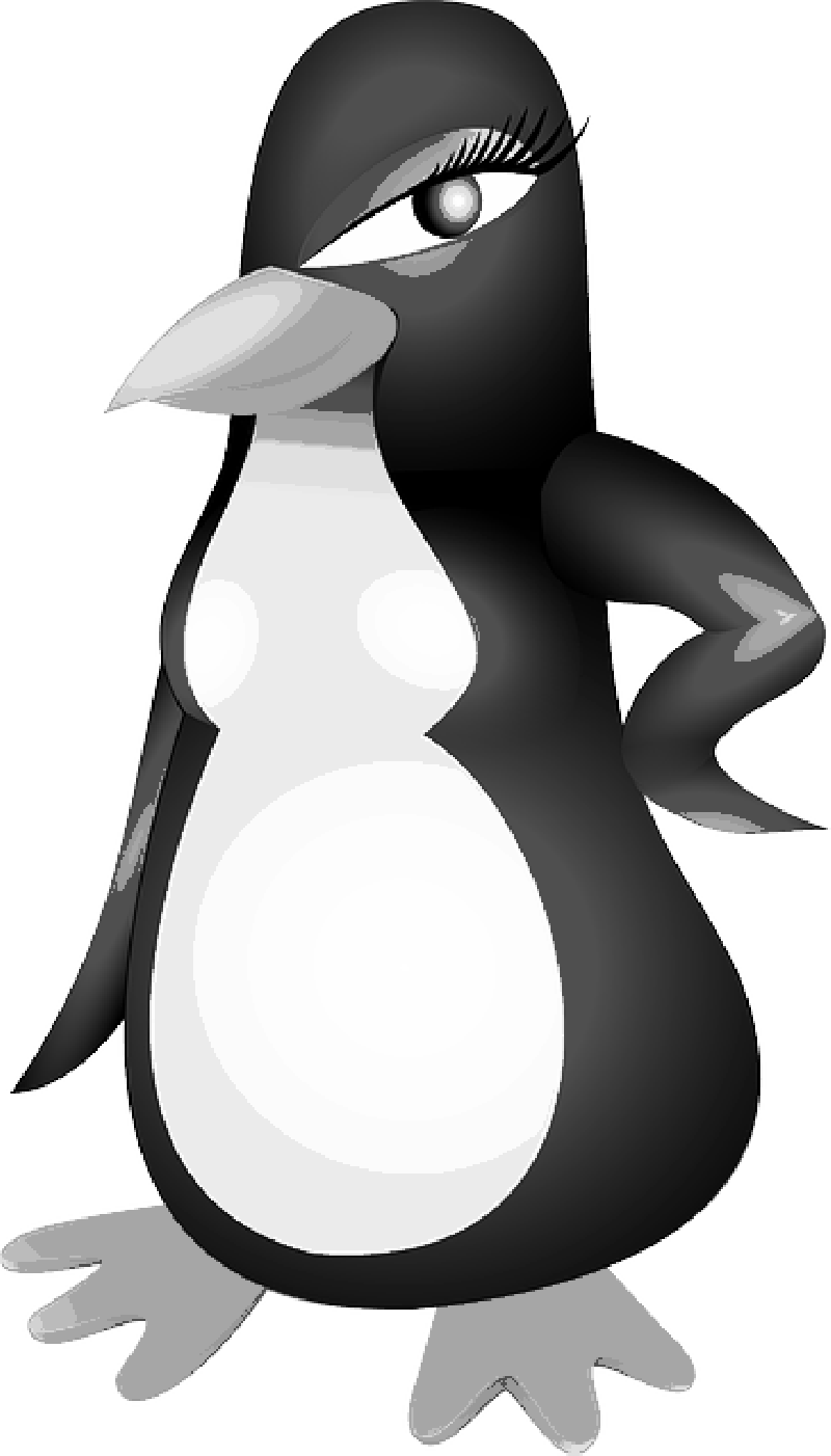 Penguin, Female, Girl, Cartoon, Bird, Avatar, Makeup - Openclipart Org - Png Download (800x1402), Png Download