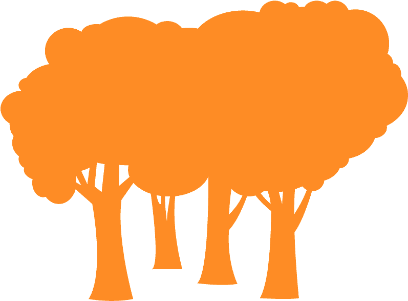 Clip Art - Png Download (800x600), Png Download