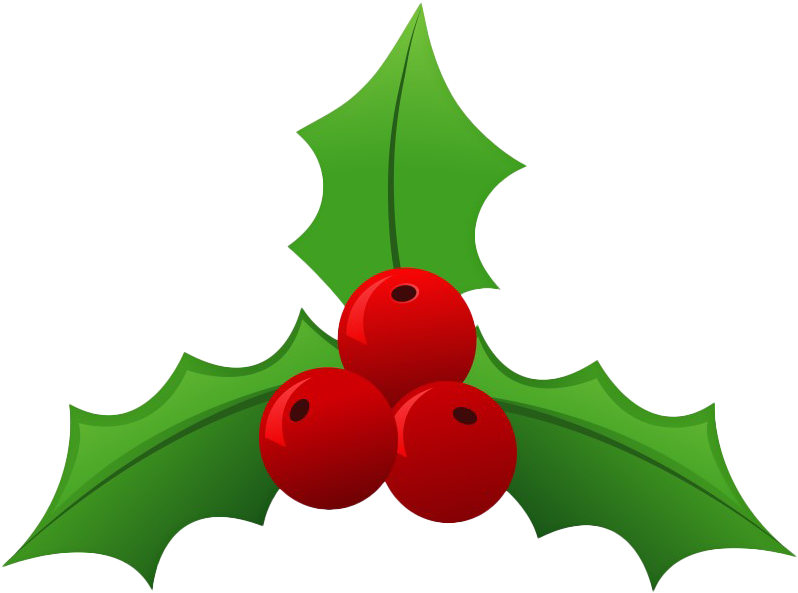 Christmas Mistletoe Png File - Transparent Background Mistletoe Clipart (920x722), Png Download