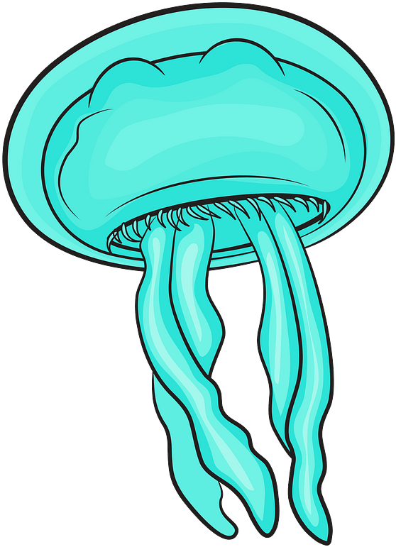 Moon Jellyfishes Clipart - Gorra Parte De Atras - Png Download (587x800), Png Download