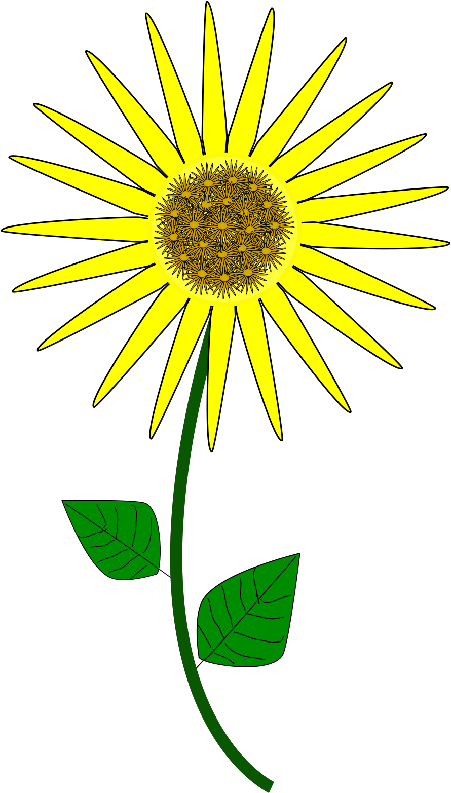 Sunflower Cartoon Clipart (1600x1600), Png Download