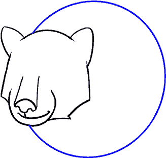 Sun Bear Clipart Realistic - Cartoon - Png Download (678x600), Png Download