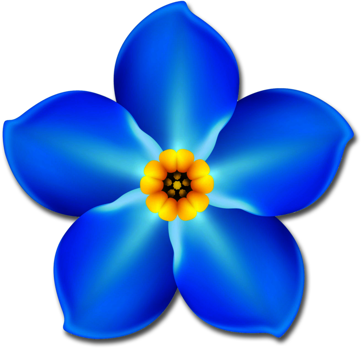 Forget Me Not Flower Png - Forget Me Not Flower Clipart Transparent Png (774x784), Png Download