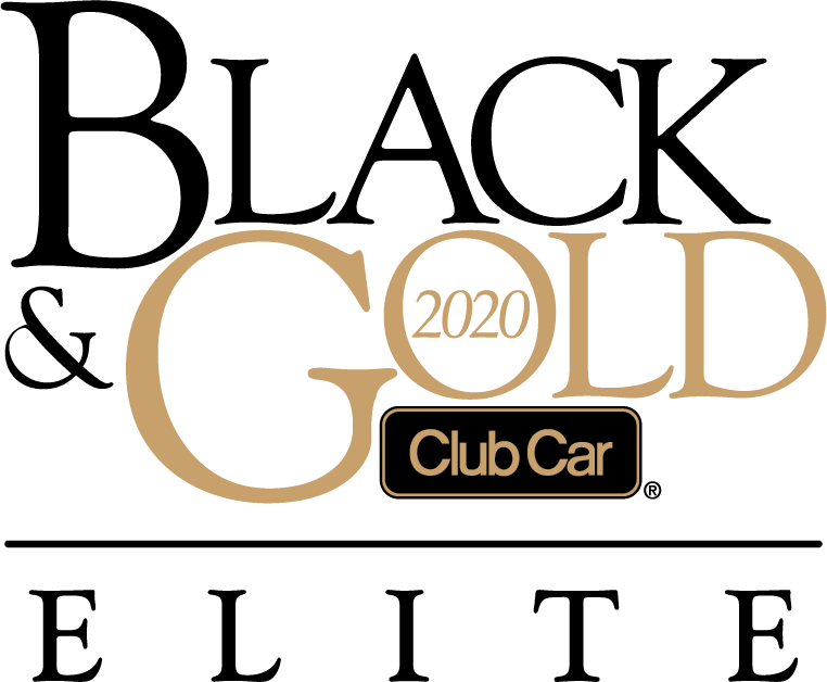 2020 Club Car Onward Twilight Special Edition Electric - Club Car Clipart (762x628), Png Download