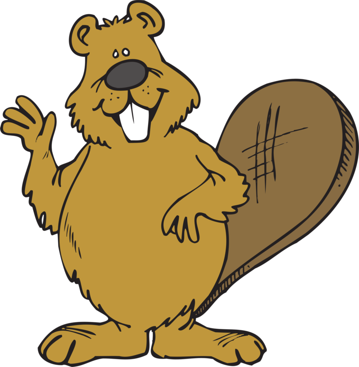 Groundhog Day,cartoon,rodent - Beaver Clipart - Png Download (735x750), Png Download