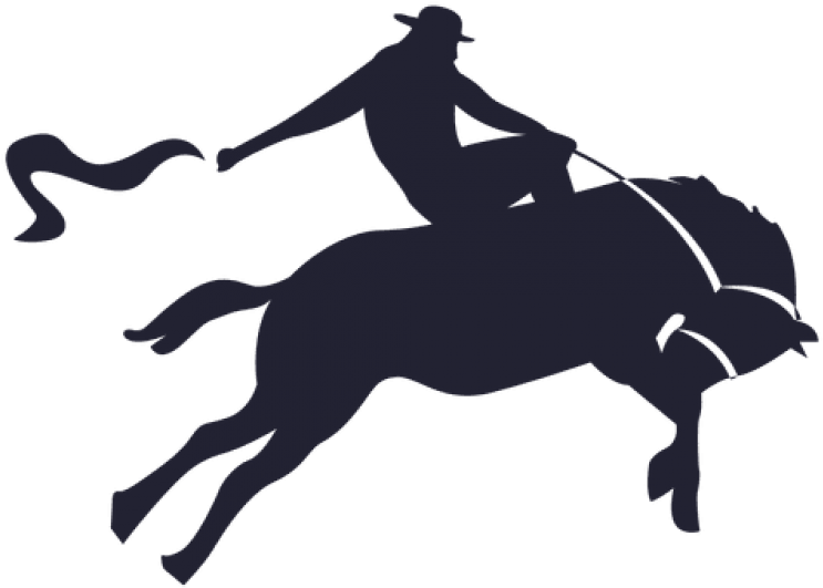 Cowboy Silhouette Png Image - Portable Network Graphics Clipart (800x800), Png Download