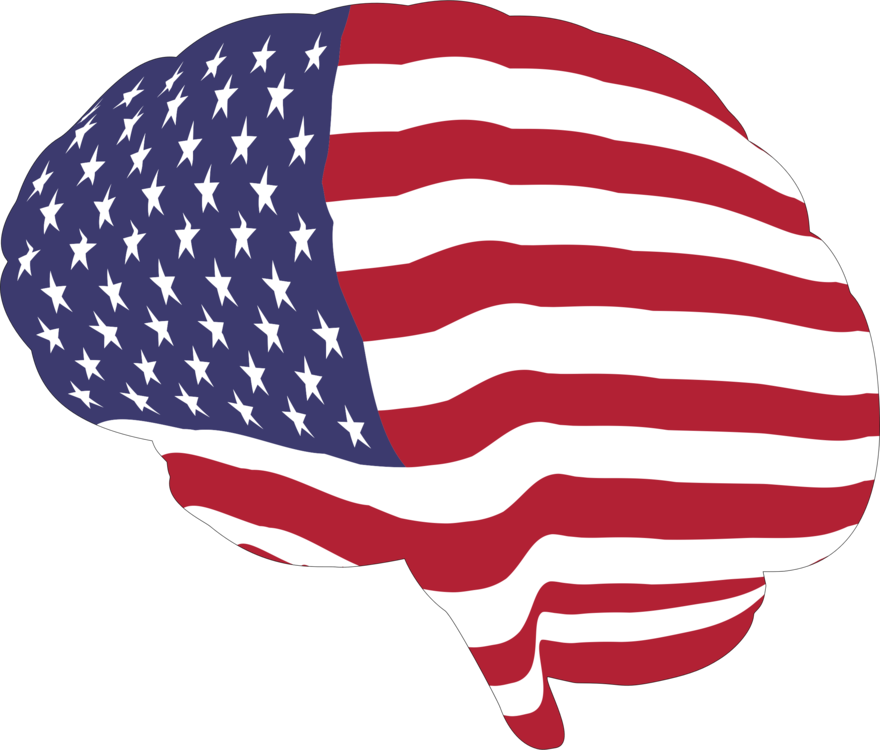 Ai Vector American Flag - American Flag With Brain Clipart (880x750), Png Download