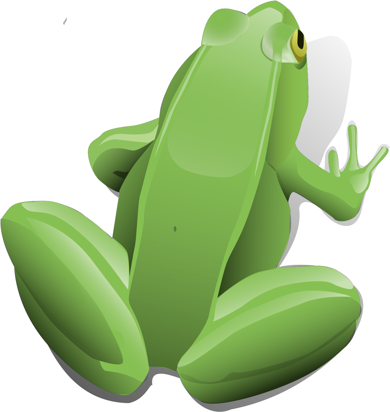 Cartoon Frog Top Down Clipart (716x750), Png Download