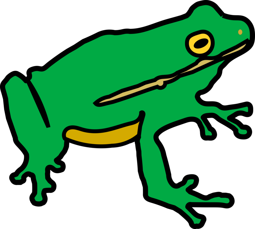 Animal Figure,toad,frog - Frog Non Copyright Clipart (838x750), Png Download