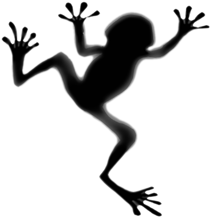 Toad Tree Frog Tattoo Panamanian Golden Frog - Shadow Of A Frog Clipart (800x802), Png Download
