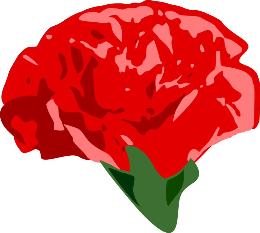Plant,flower,garden Roses - Clip Art - Png Download (837x750), Png Download