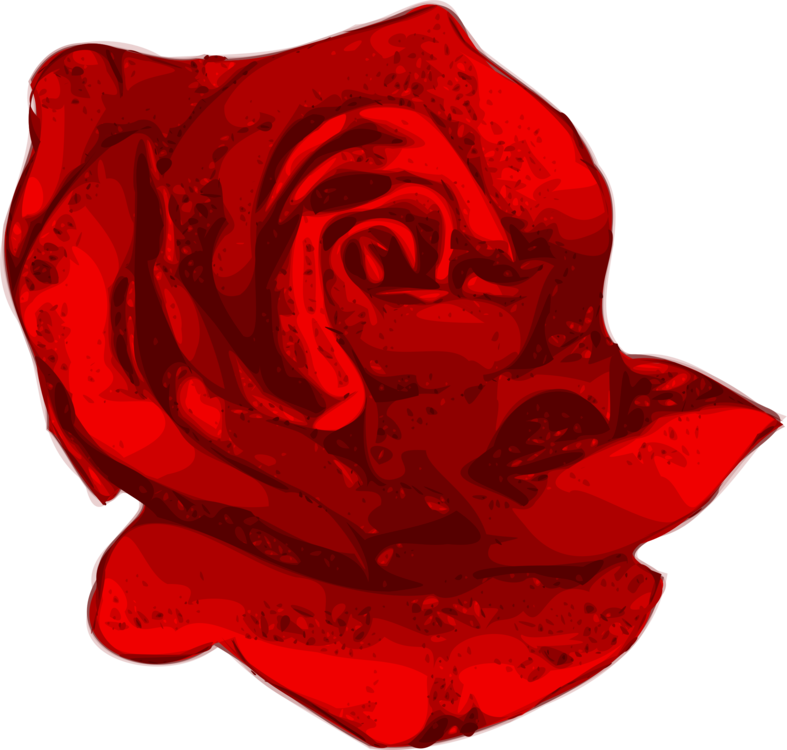 Plant,flower,garden Roses - Transparent Vector Flowers Red Png Clipart (787x750), Png Download