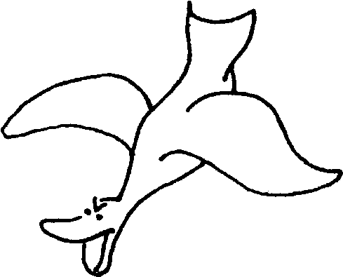 Line Art Clipart (623x515), Png Download