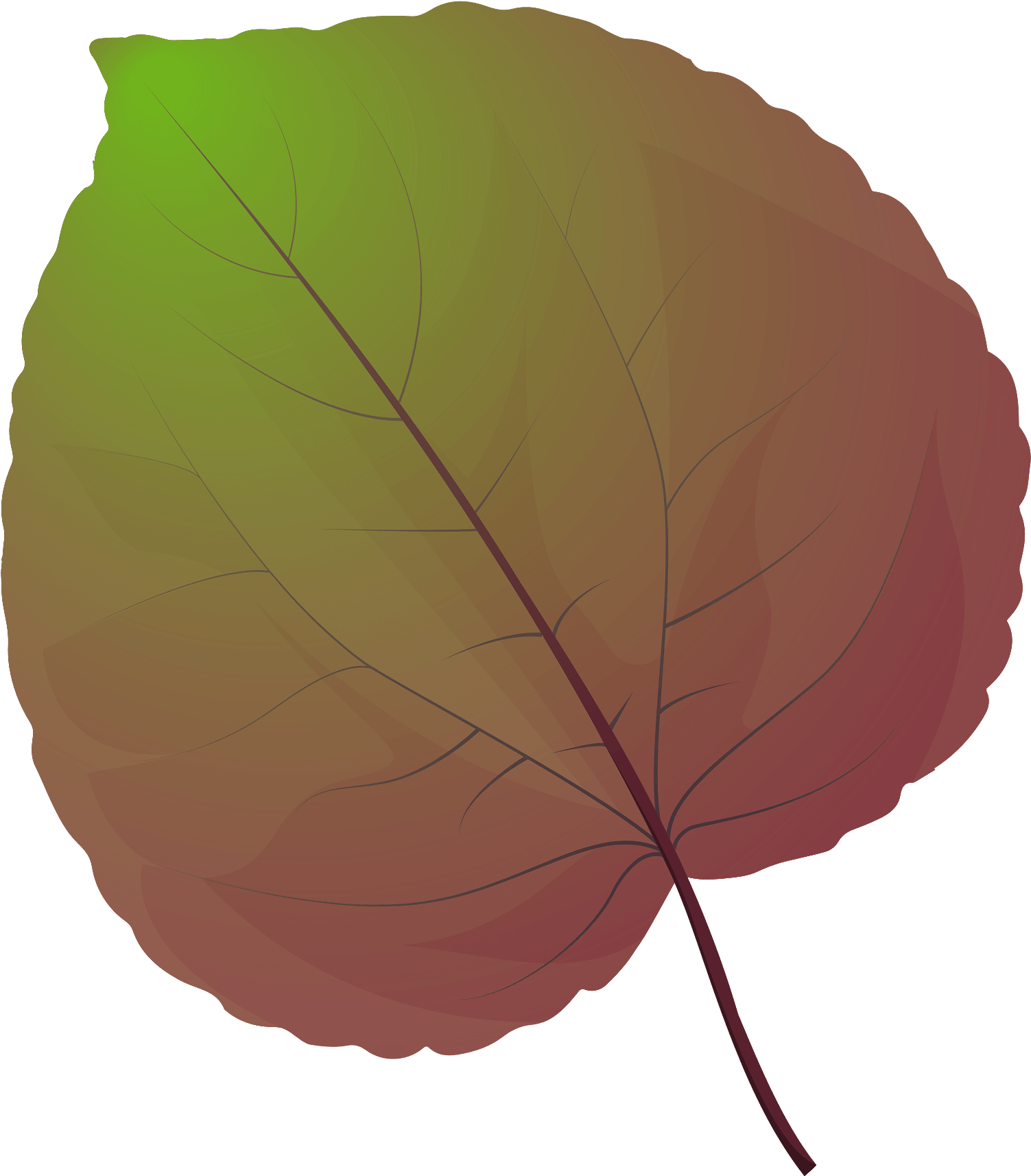 Beech Clipart (1920x1920), Png Download