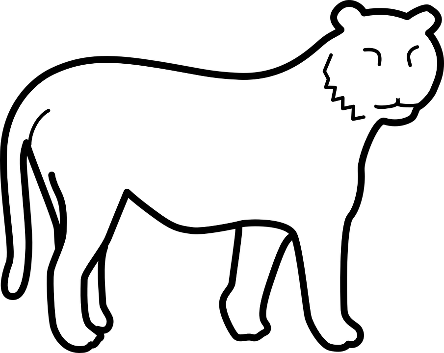 Clipart Black And White Images Tiger - Png Download (905x720), Png Download