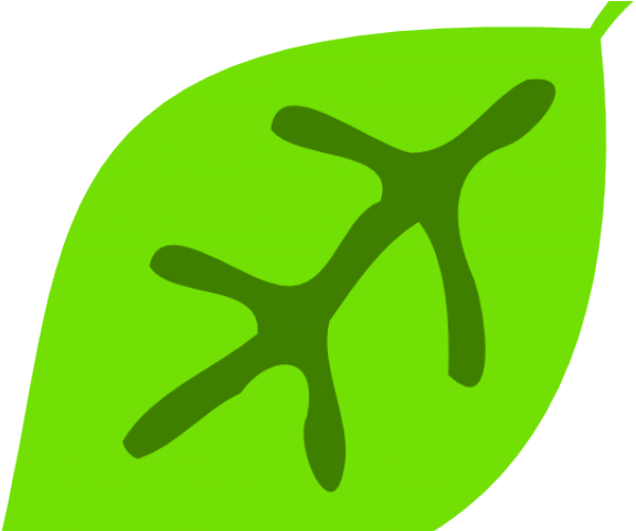 Cute Leaf Clipart - Png Download (640x480), Png Download