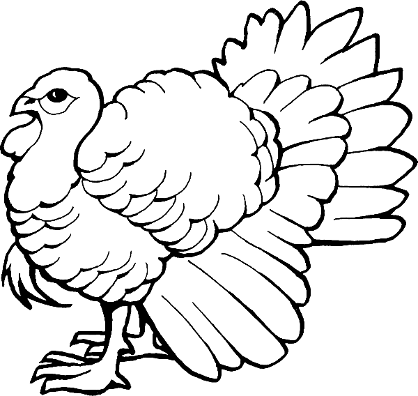 Free Printable Coloring Picture Of A Turkey Clipart (600x568), Png Download