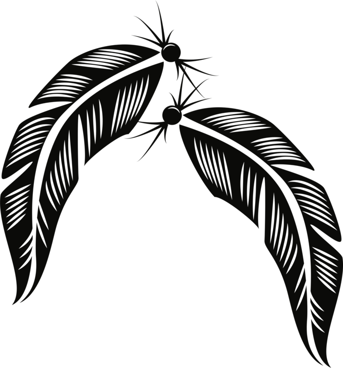Plant,leaf,monochrome Photography - Feathers Vector Clipart (699x750), Png Download