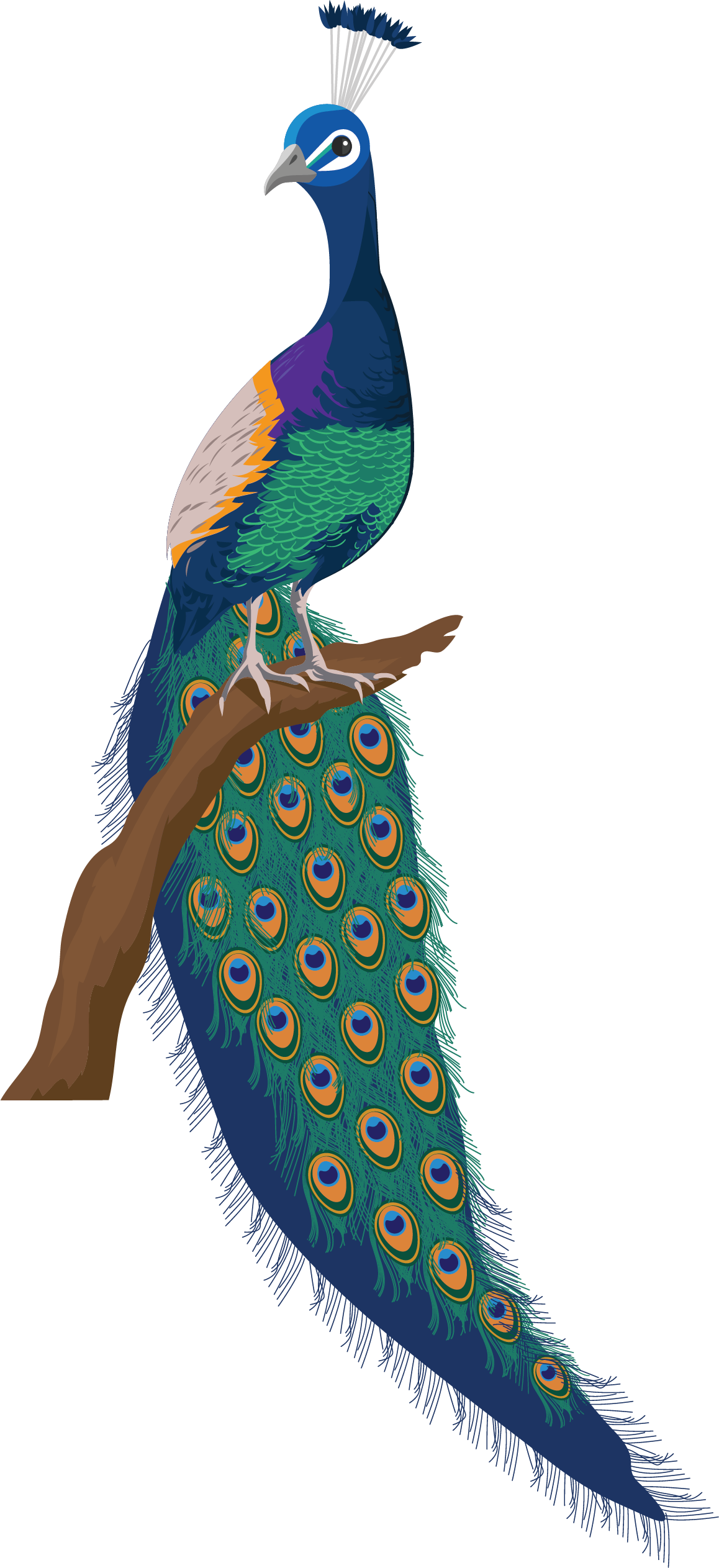 Wall Painting Drawing Clipart (1158x2525), Png Download