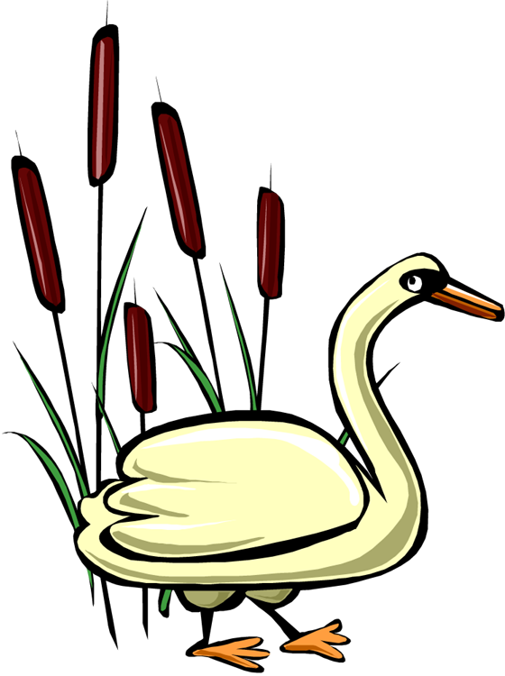 Swan Clipart Double - Png Download (560x750), Png Download