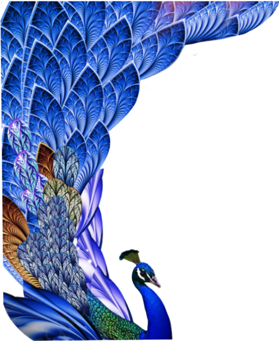 #peacock #bird #birds #animal #feather #feathers #freetoedit - Peacock Feather Images Hd Free Download Clipart (600x732), Png Download