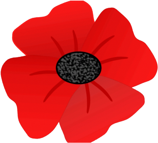 Draw A Remembrance Poppy Clipart (880x560), Png Download