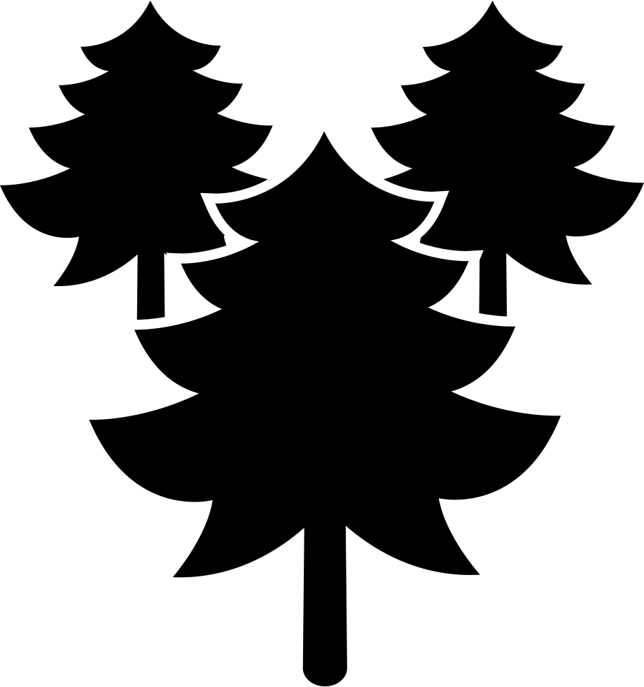 Pines Trees Forest - Portable Network Graphics Clipart (920x982), Png Download