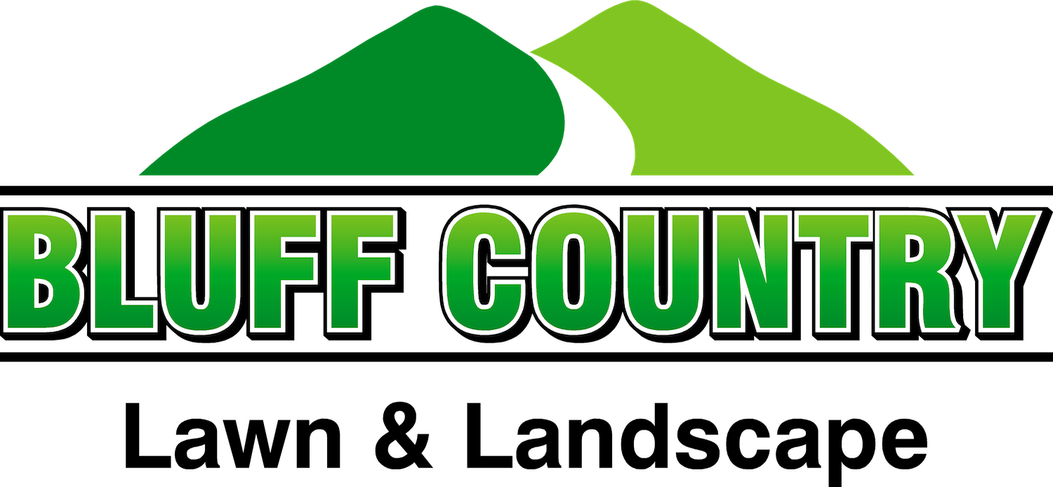 Clip Art - Png Download (1500x694), Png Download