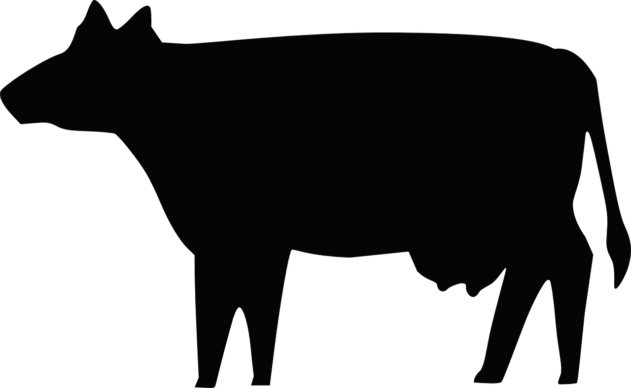 Animal Silhouette Clipart Cow Svg Freeuse Holstein - Cow Silhouette - Png Download (800x800), Png Download