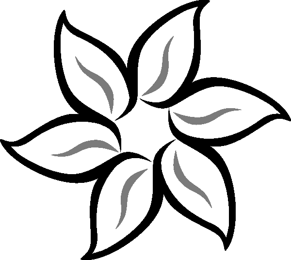 Simple Floral Design Drawing - Black Flower Outline Clipart (600x536), Png Download