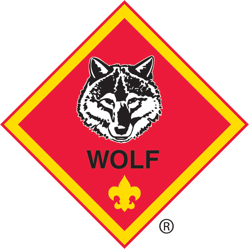 Transparent Wolf Cub Clipart - Cub Scouting - Png Download (800x800), Png Download