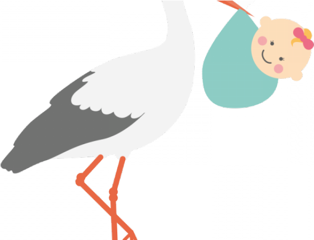 Stork Clipart Surrogacy - Ciconia - Png Download (640x480), Png Download