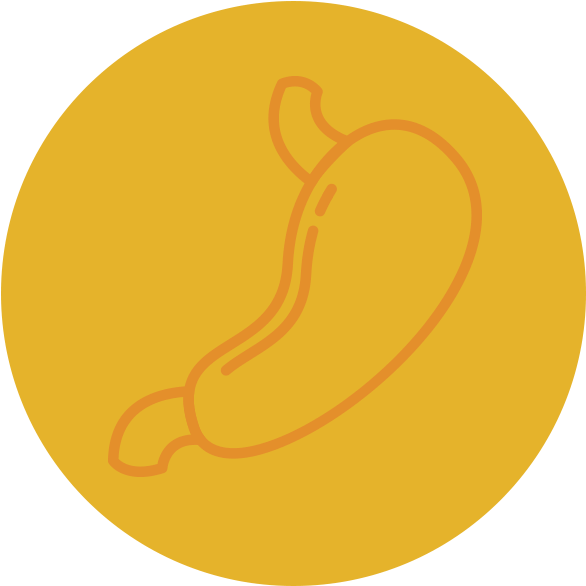 Stomach - Health Care Clipart (600x600), Png Download