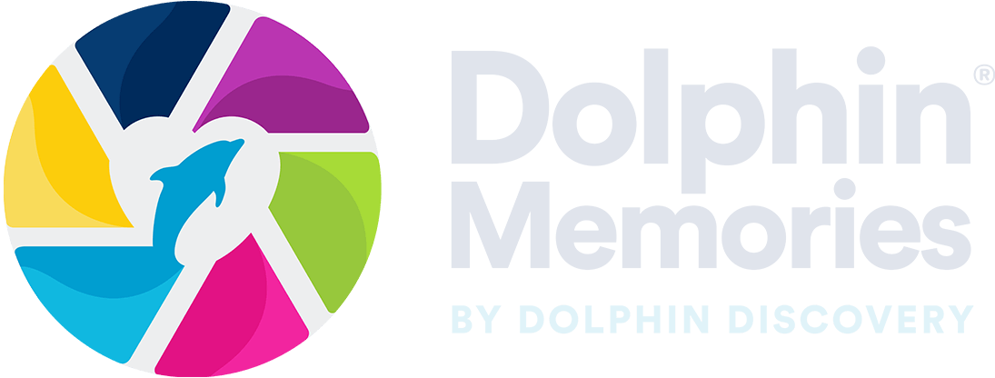Dolphin Discovery Memories Clipart (1095x416), Png Download