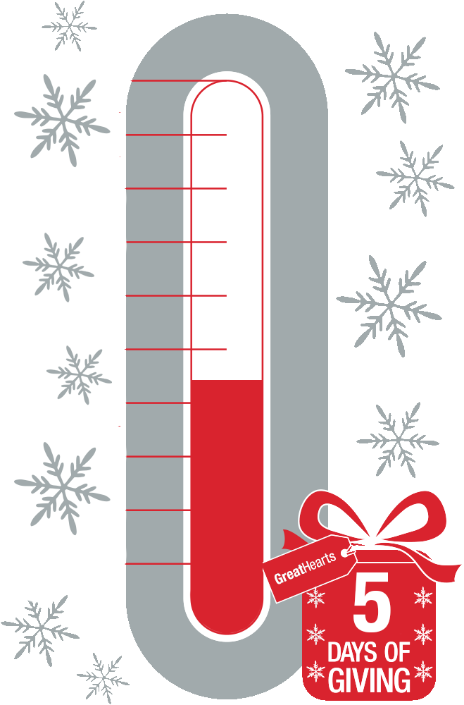 Total Raised - $23,960* - Cafepress Modern Vintage Snowflakes Tile Coaster Clipart (659x1000), Png Download