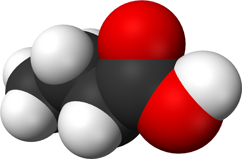 According To Eugoogoly, Butyric Acid Is Present In, - Butanoic Acid Model Clipart (1100x759), Png Download