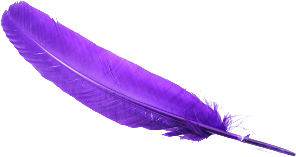 Feather Png Clipart (1024x1024), Png Download