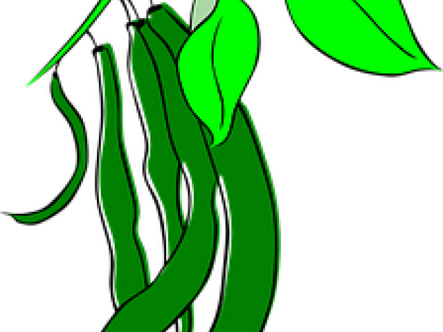 Pulse Clipart String Bean - String Beans Clip Art - Png Download (640x480), Png Download