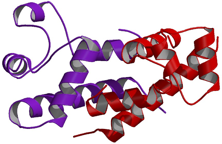 Cd82 Molecule, Kai1, Metastasis Suppressor Kangai-1 Clipart (720x467), Png Download