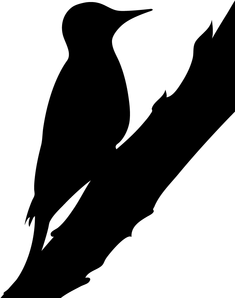 Woodpeckers - Silhouette Northern Flicker Clipart (1024x1024), Png Download