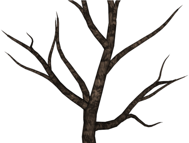Empty branch
