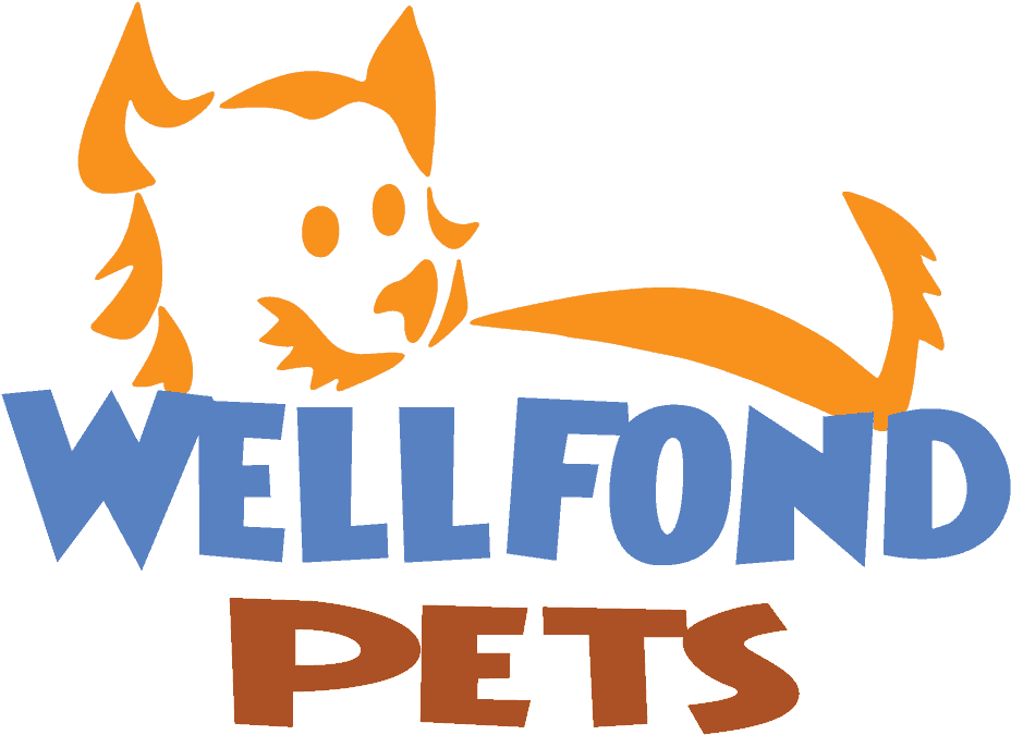 Dog Clipart (1062x800), Png Download