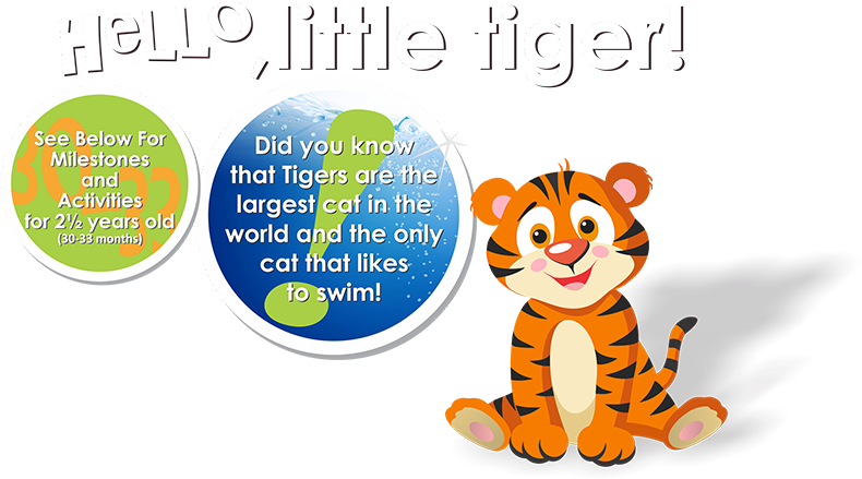 Tiger - Cartoon Clipart (800x440), Png Download