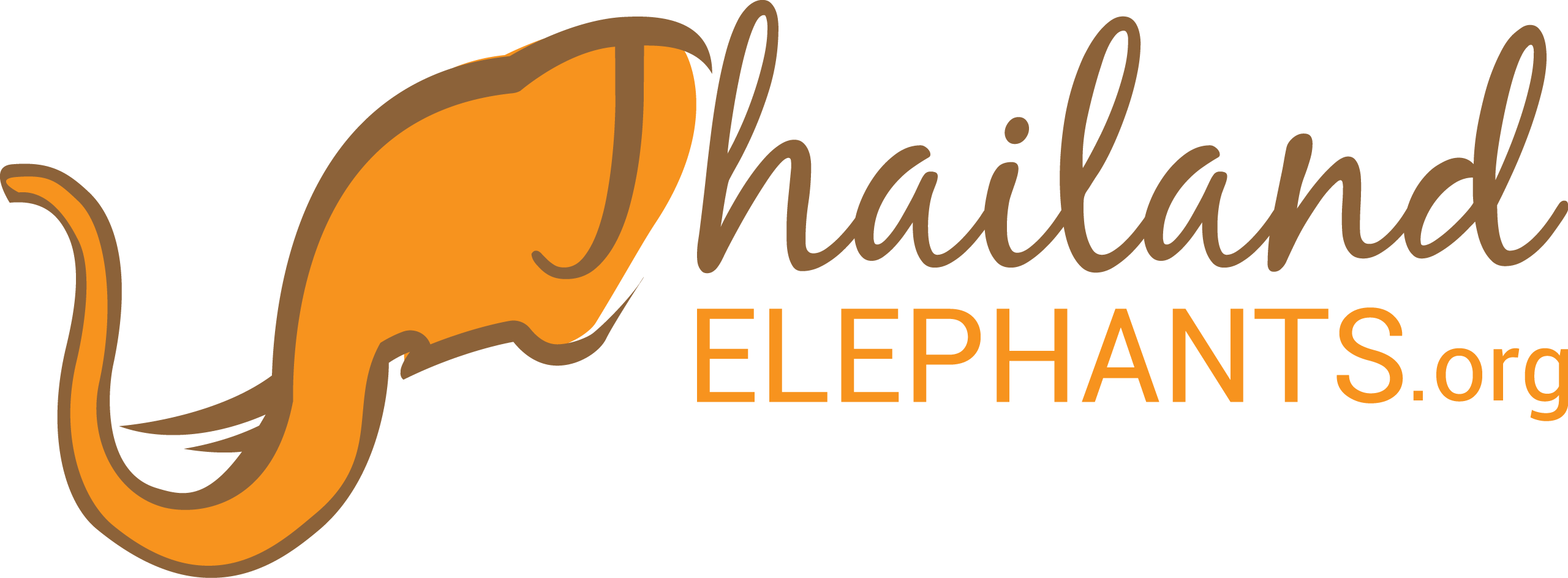 Thailand Elephants - One Boy Thousand Feelings Png Clipart (2560x944), Png Download