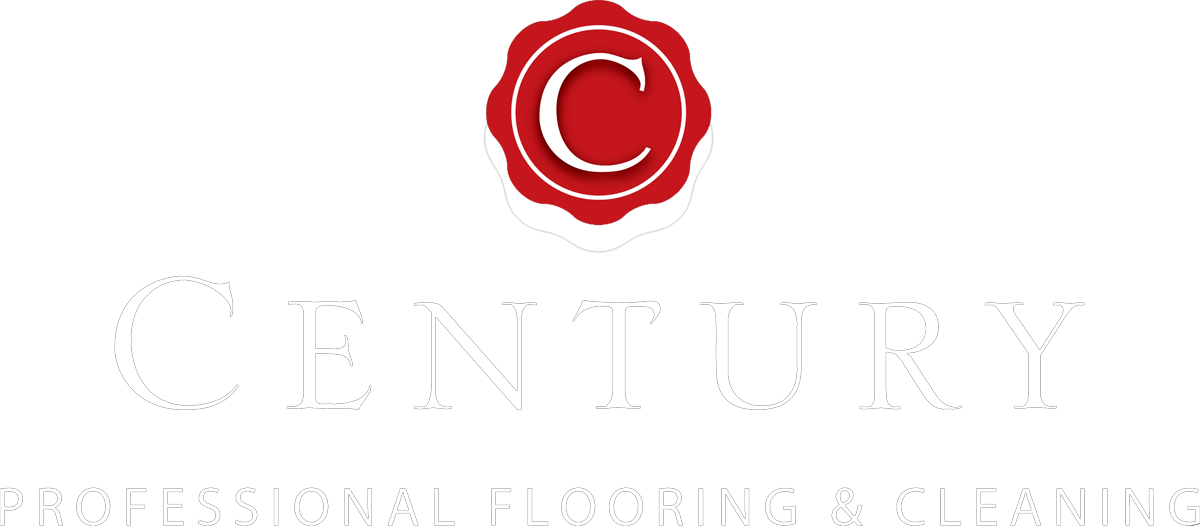 Century Provides Excellence In Services With Professionalism Clipart (1200x526), Png Download
